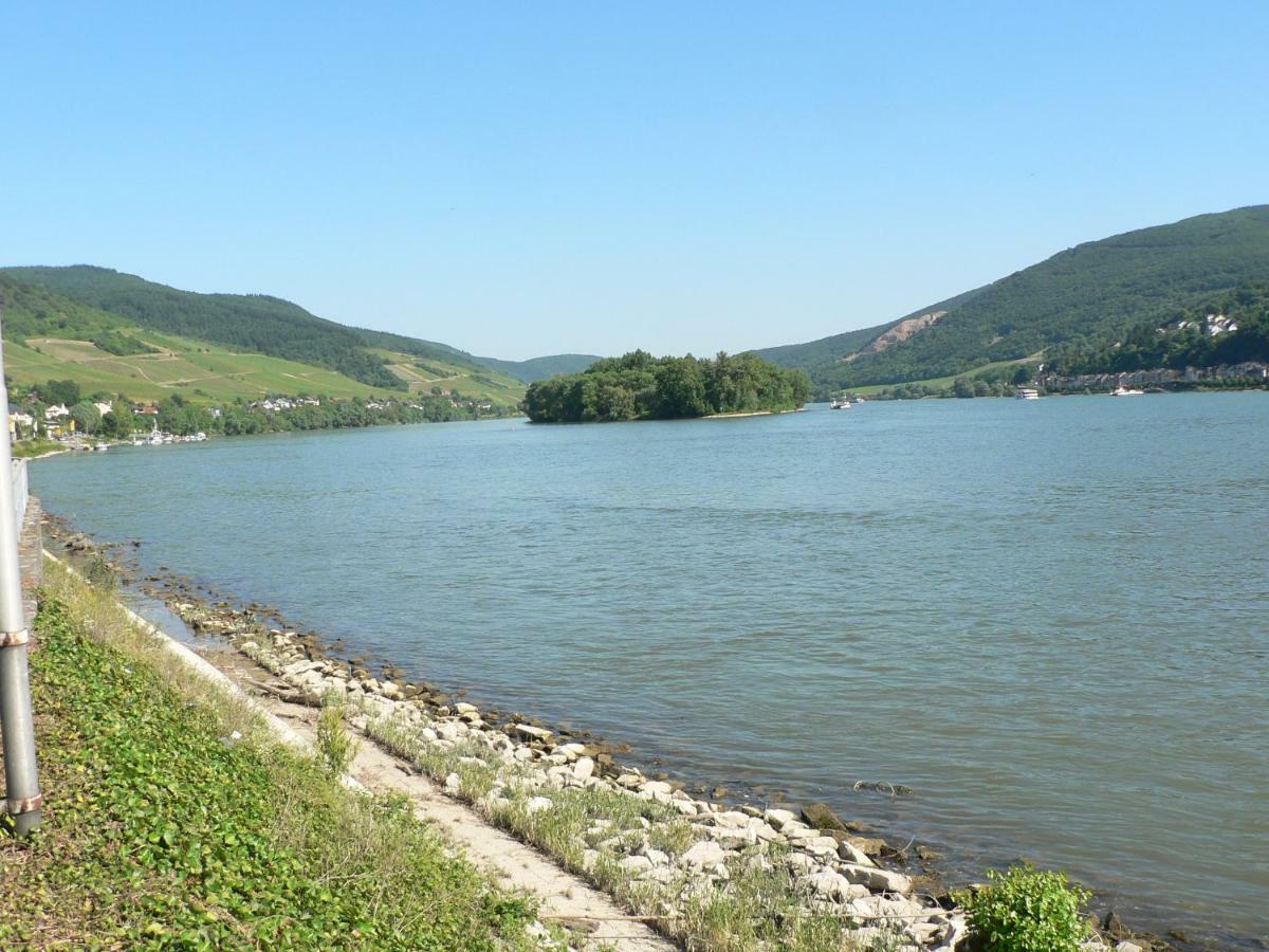 Gaestehaus Cheval Blanc Lorch am Rhein Ngoại thất bức ảnh