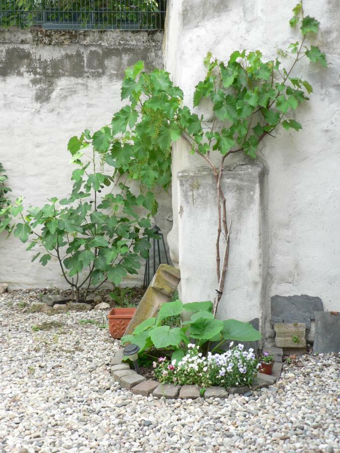 Gaestehaus Cheval Blanc Lorch am Rhein Ngoại thất bức ảnh
