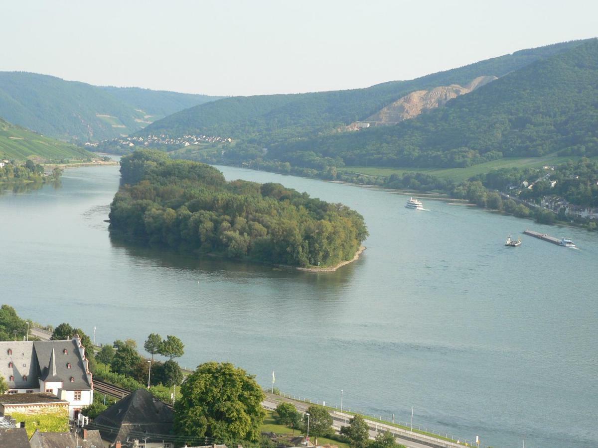 Gaestehaus Cheval Blanc Lorch am Rhein Ngoại thất bức ảnh