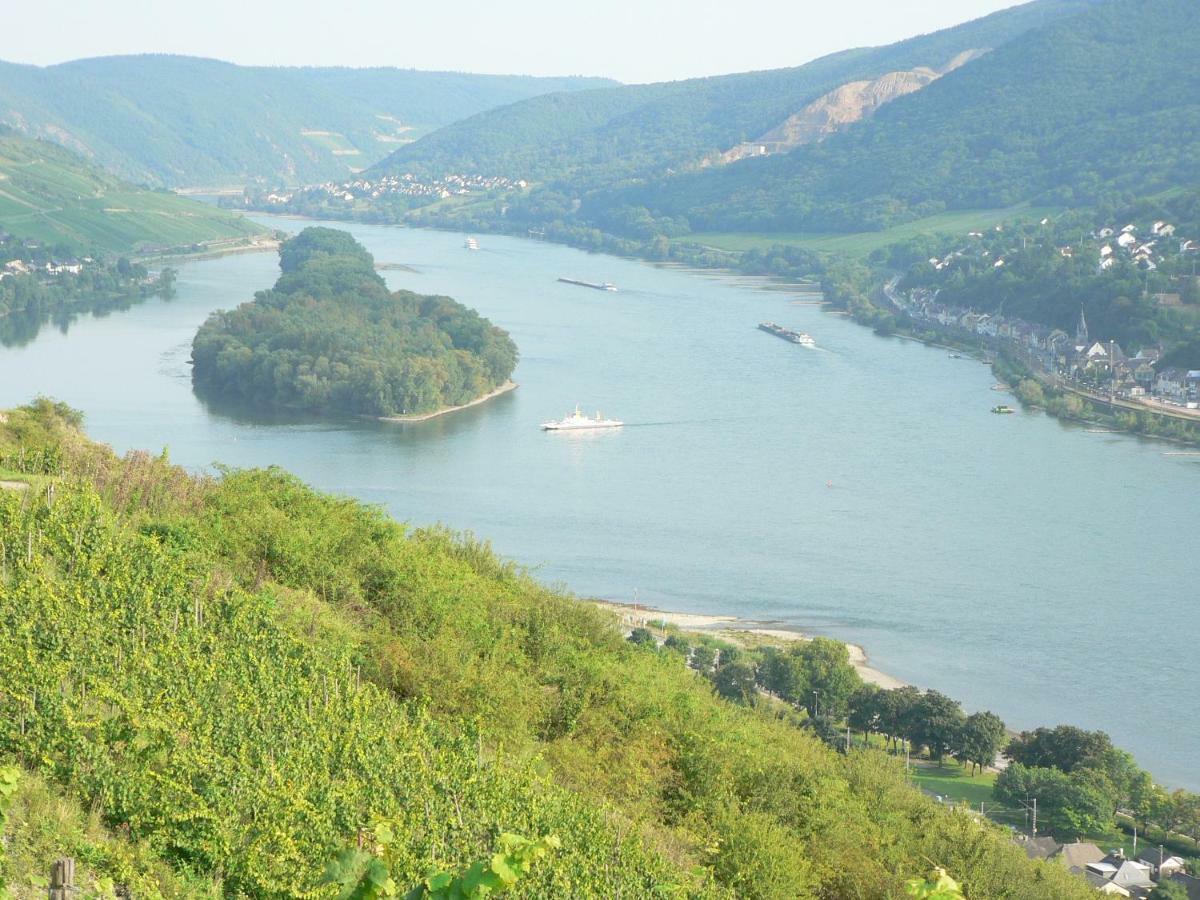 Gaestehaus Cheval Blanc Lorch am Rhein Ngoại thất bức ảnh